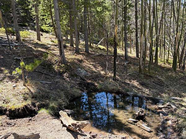 40.8 Acres of Recreational Land for Sale in Red Feather Lakes, Colorado