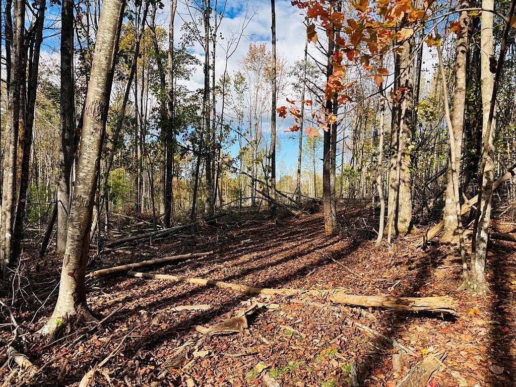 6.77 Acres of Residential Land for Sale in Laurel Fork, Virginia