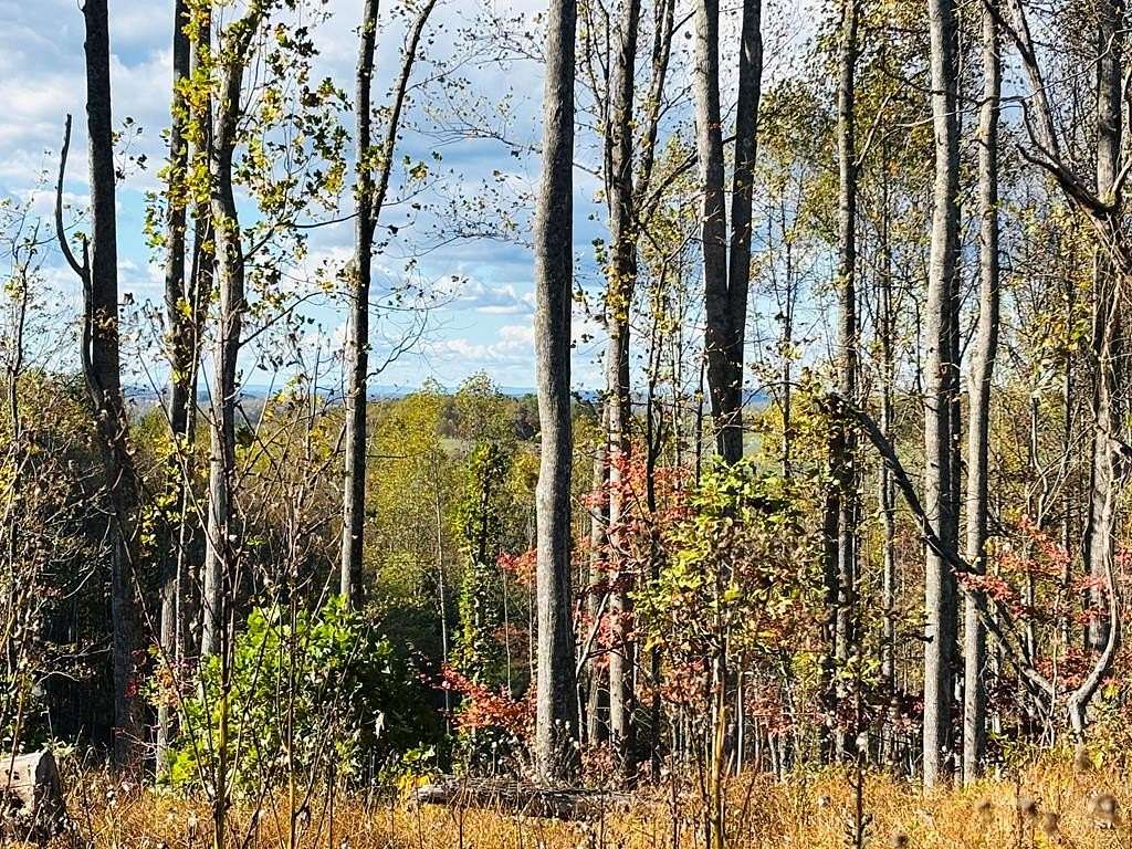22.8 Acres of Recreational Land for Sale in Laurel Fork, Virginia