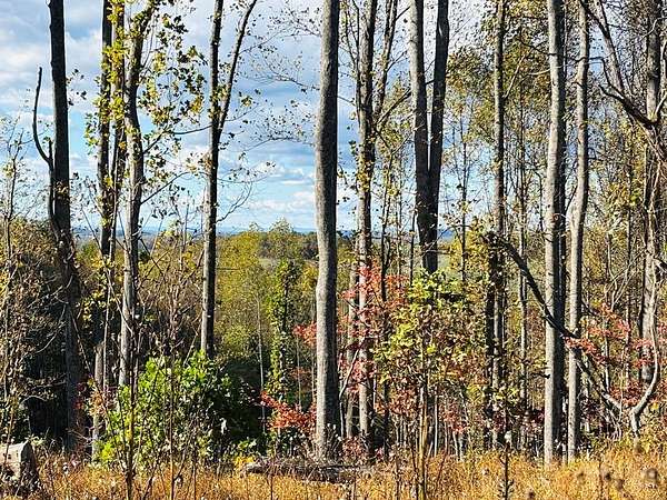 22.8 Acres of Recreational Land for Sale in Laurel Fork, Virginia