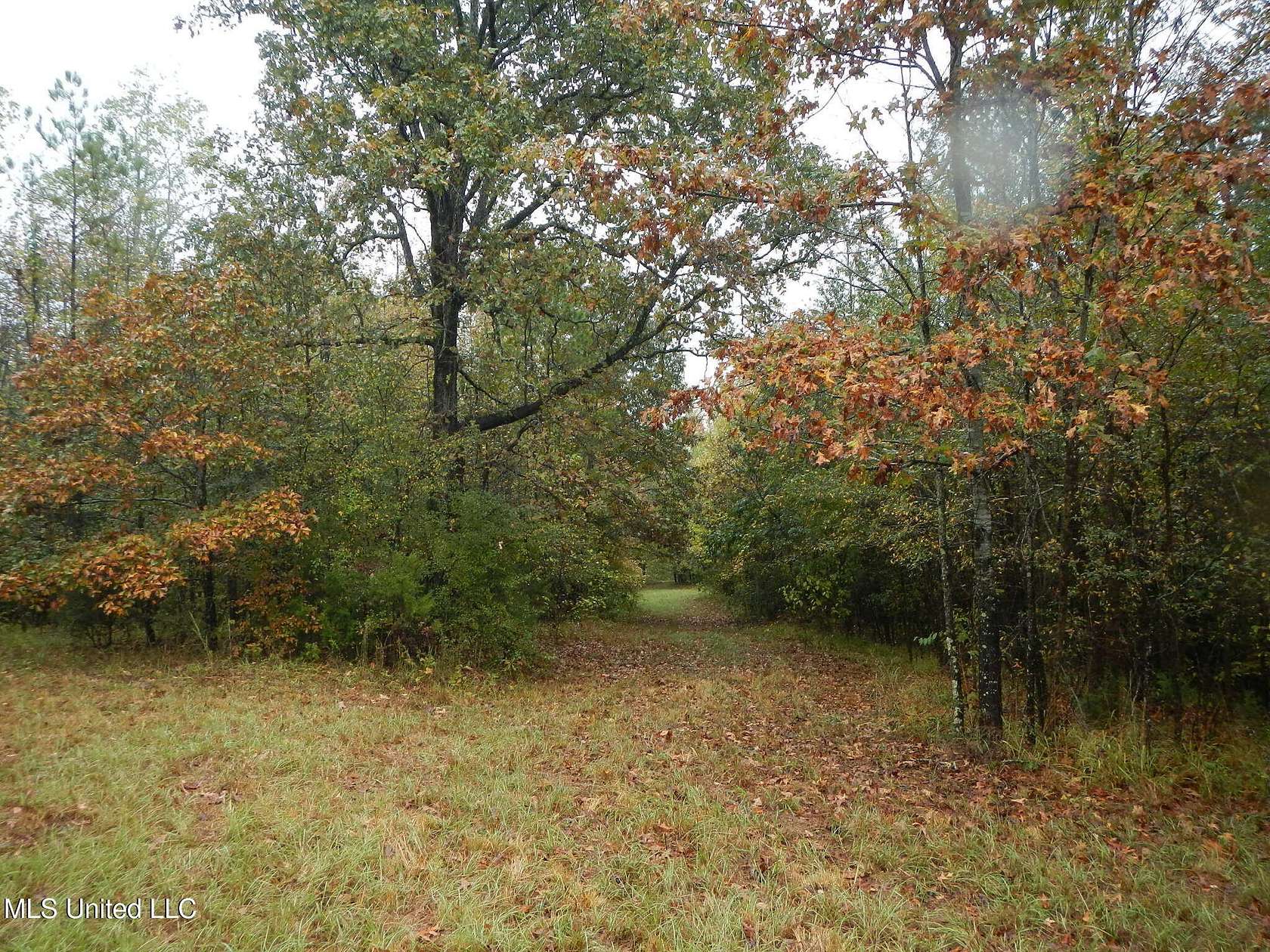 72 Acres of Recreational Land for Sale in Cruger, Mississippi