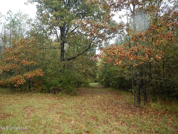 72 Acres of Recreational Land for Sale in Cruger, Mississippi