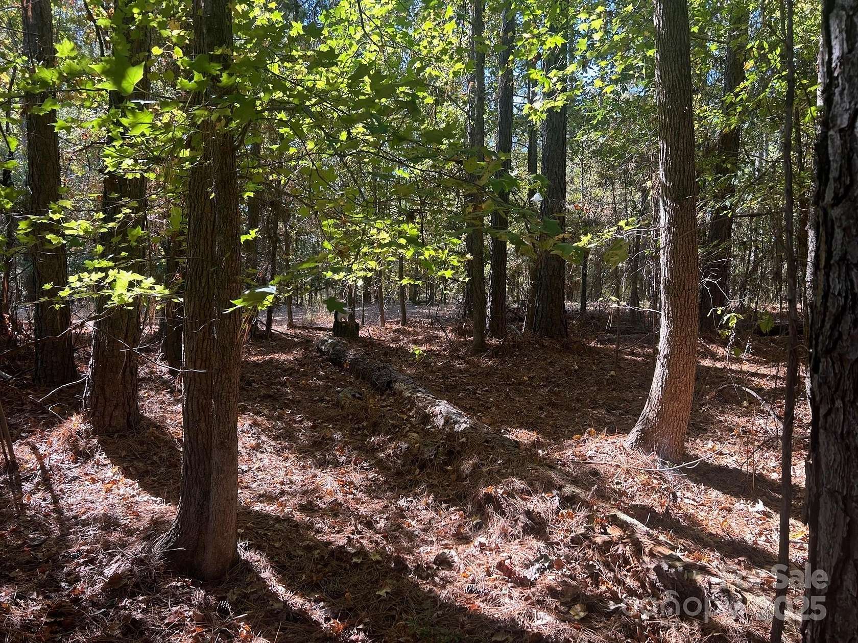 5.5 Acres of Residential Land for Sale in Richburg, South Carolina