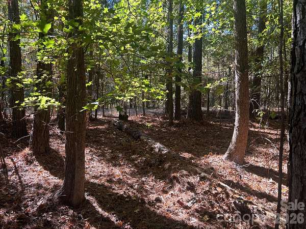 6 Acres of Residential Land for Sale in Richburg, South Carolina