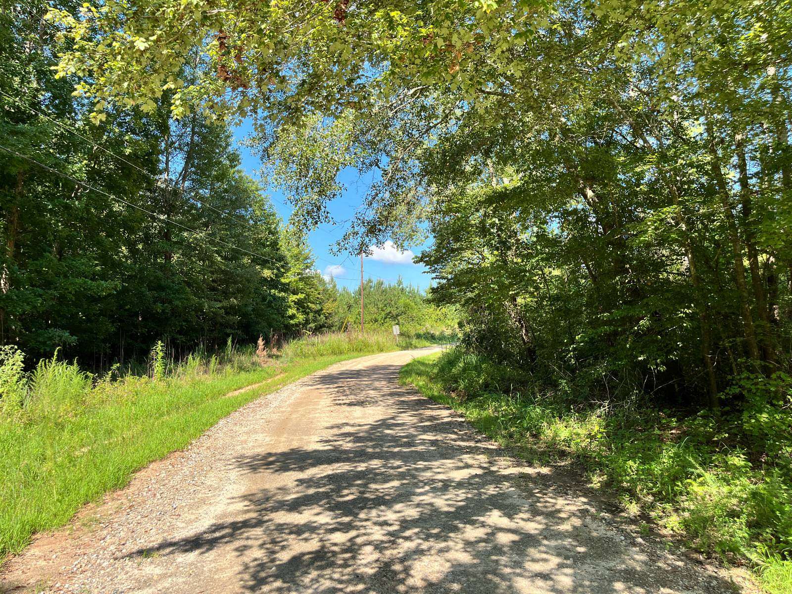 52 Acres of Recreational Land for Sale in Greenwood, South Carolina