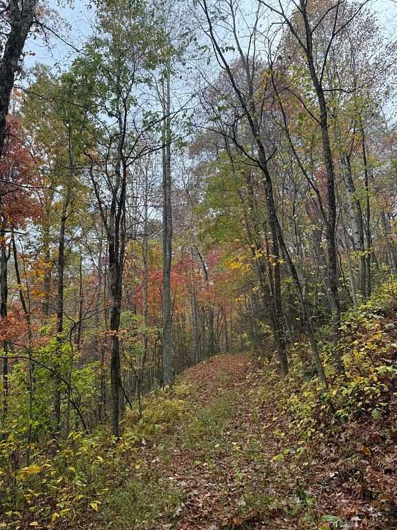 1 Acre of Residential Land for Sale in Scaly Mountain, North Carolina