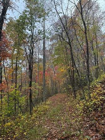 1 Acre of Residential Land for Sale in Scaly Mountain, North Carolina