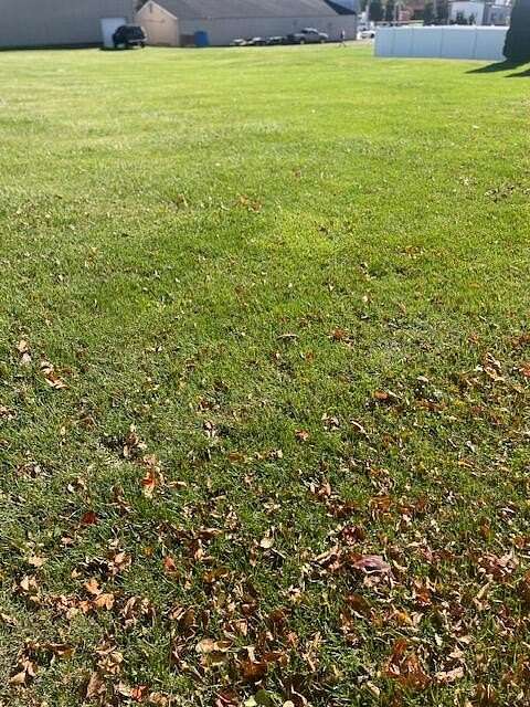 1 Acre of Residential Land for Sale in Cedar Lake, Indiana