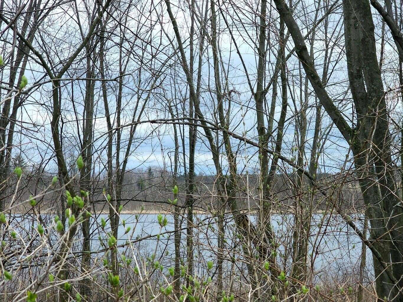 0.2 Acres of Land for Sale in Six Lakes, Michigan