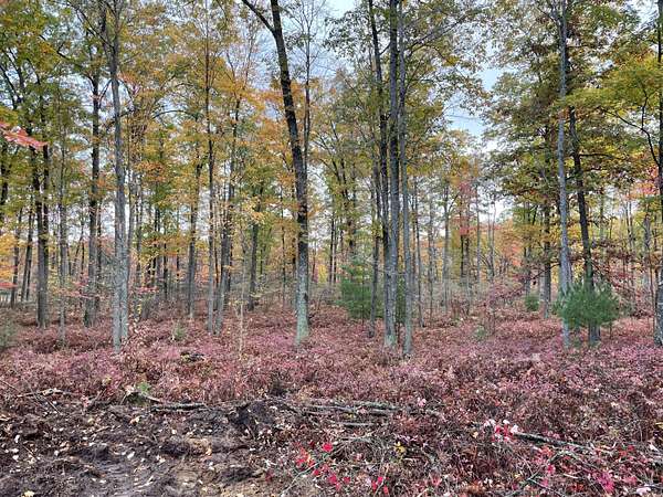5.16 Acres of Residential Land for Sale in Roscommon, Michigan