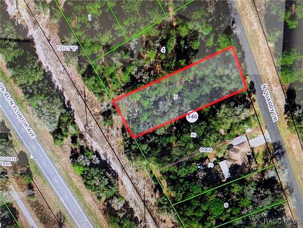 0.44 Acres of Residential Land for Sale in Citrus Springs, Florida