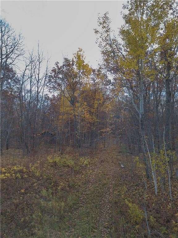 3 Acres of Land for Sale in Garrison, Minnesota