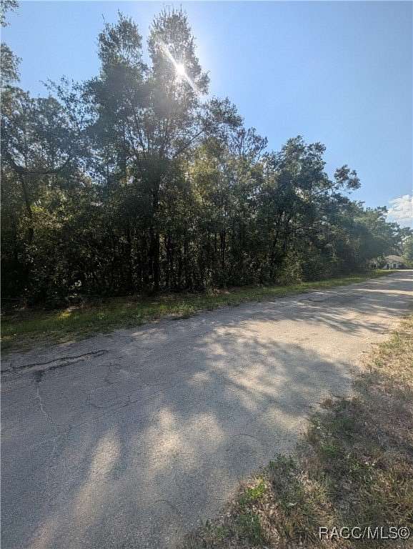 0.32 Acres of Residential Land for Sale in Citrus Springs, Florida