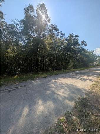 0.32 Acres of Residential Land for Sale in Citrus Springs, Florida
