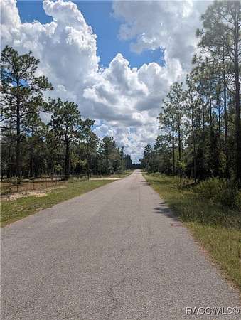 1 Acre of Residential Land for Sale in Dunnellon, Florida