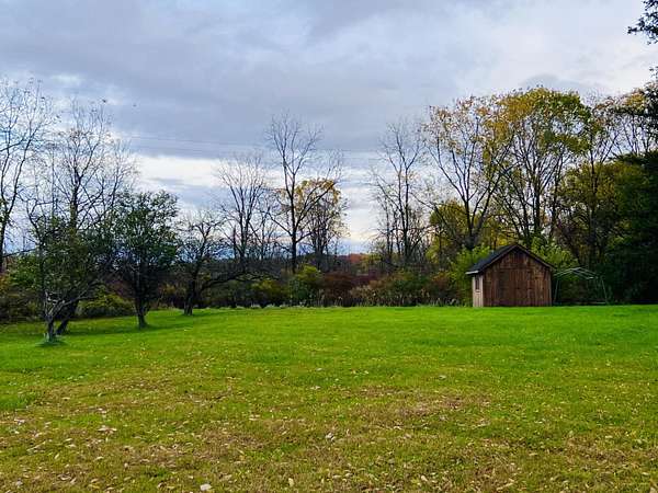 Residential Land for Sale in Laingsburg, Michigan