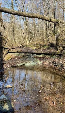 94 Acres of Land for Sale in Pulaski, Tennessee