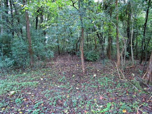 0.44 Acres of Residential Land for Sale in Beaufort, South Carolina