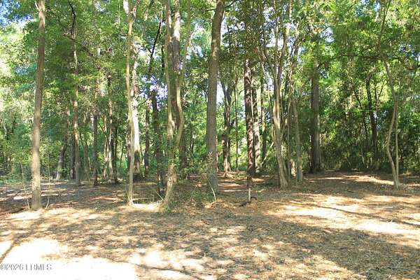 0.44 Acres of Residential Land for Sale in Beaufort, South Carolina