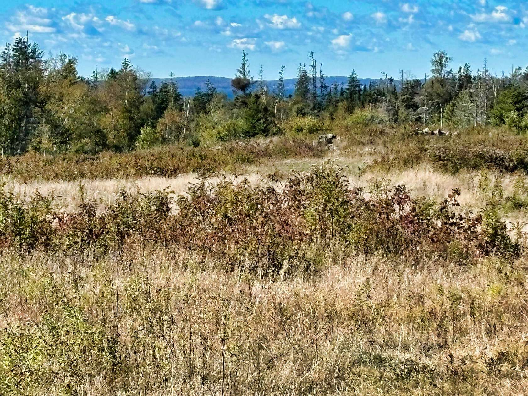 10.2 Acres of Land for Sale in North Haven, Maine