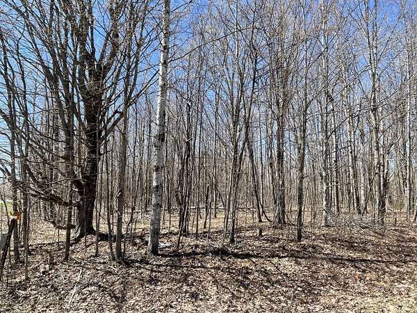 0.52 Acres of Residential Land for Sale in Mancelona, Michigan