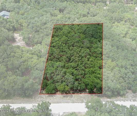 1.16 Acres of Residential Land for Sale in Webster, Florida