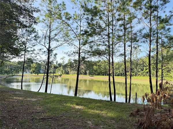 1.74 Acres of Residential Land for Sale in Ocala, Florida