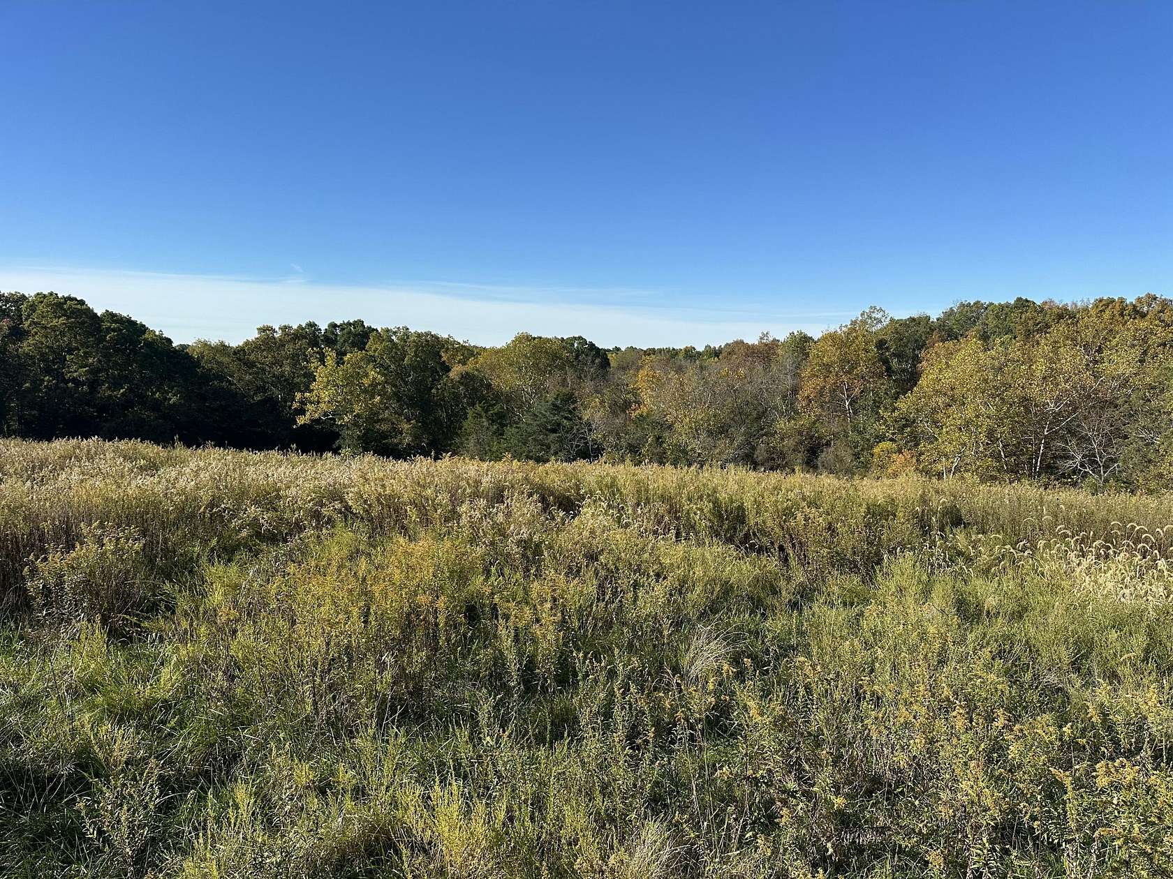 6.16 Acres of Residential Land for Sale in Cynthiana, Kentucky