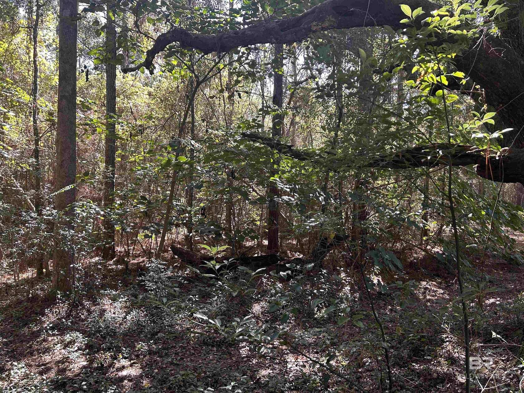 34 Acres of Recreational Land for Sale in Mobile, Alabama
