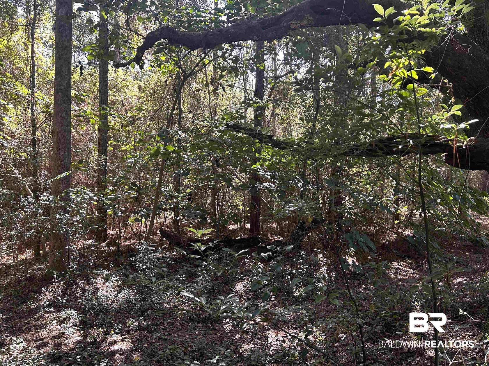 34 Acres of Recreational & Residential Land for Sale in Mobile, Alabama