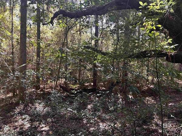 34 Acres of Recreational Land for Sale in Mobile, Alabama
