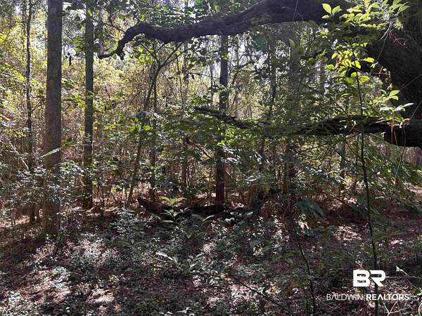 34 Acres of Recreational & Residential Land for Sale in Mobile, Alabama