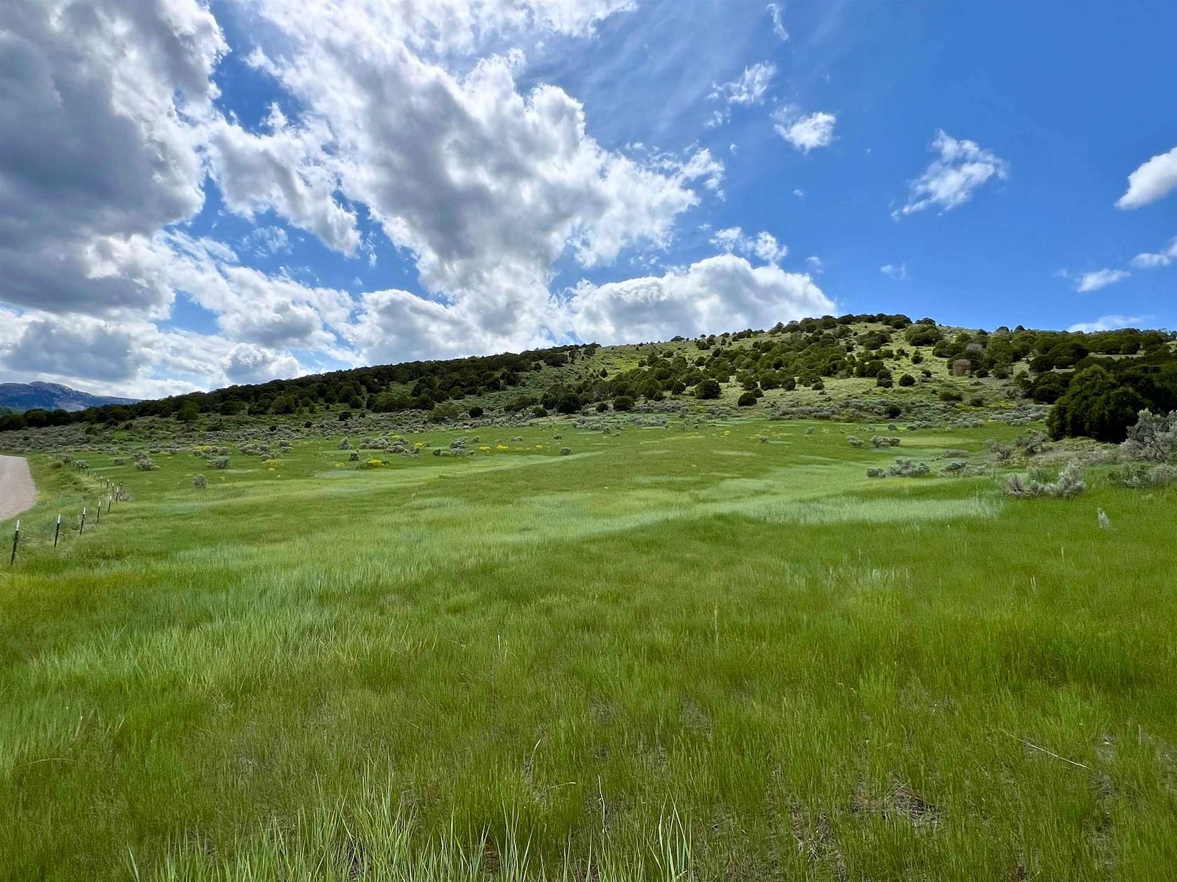 40 Acres of Recreational Land for Sale in Grace, Idaho