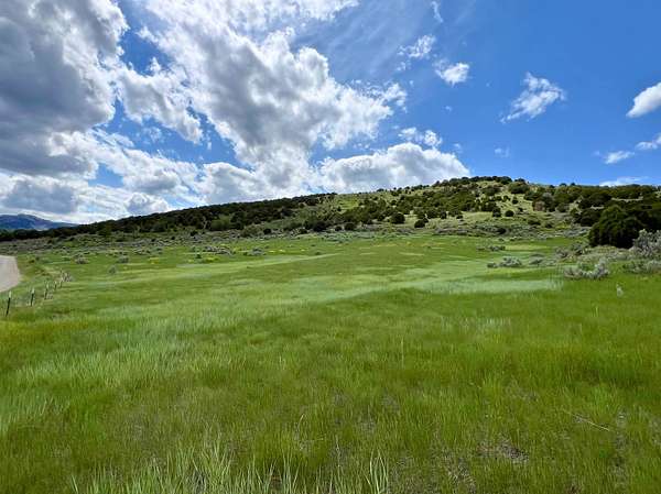 40 Acres of Recreational Land for Sale in Grace, Idaho