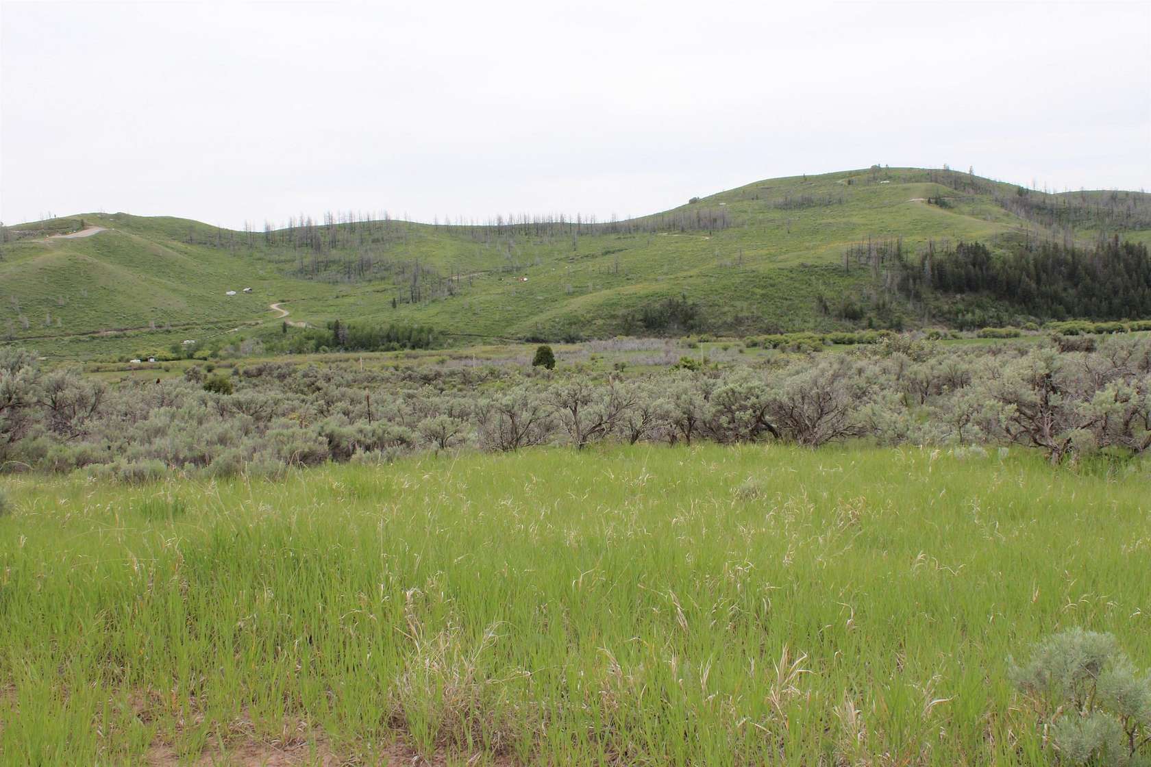 6.57 Acres of Residential Land for Sale in Soda Springs, Idaho