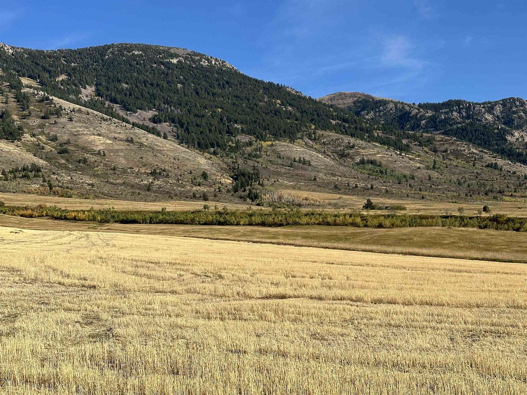 1.42 Acres of Residential Land for Sale in Inkom, Idaho