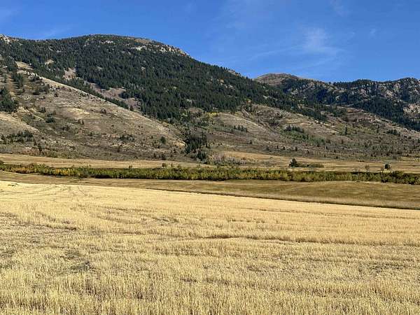 1.42 Acres of Residential Land for Sale in Inkom, Idaho