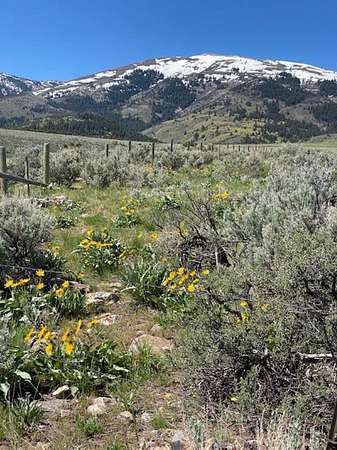 241 Acres of Agricultural Land for Sale in Downey, Idaho