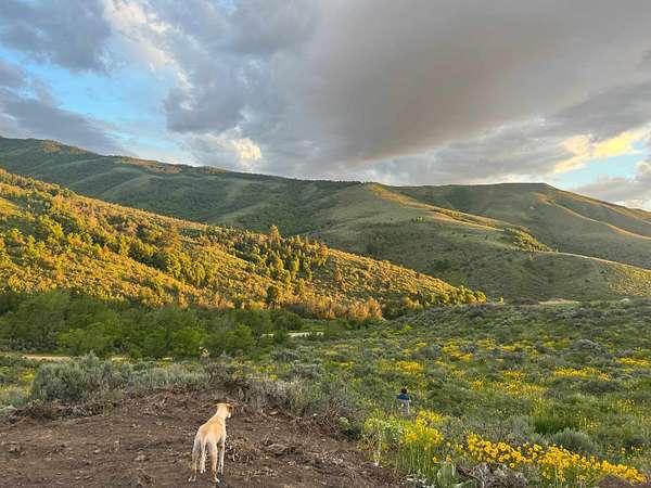 5 Acres of Residential Land for Sale in Pocatello, Idaho