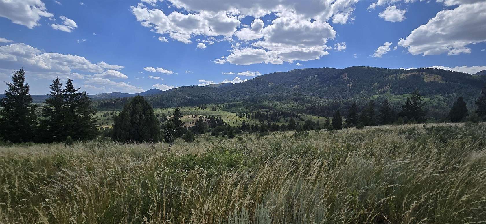 2.64 Acres of Residential Land for Sale in Bancroft, Idaho
