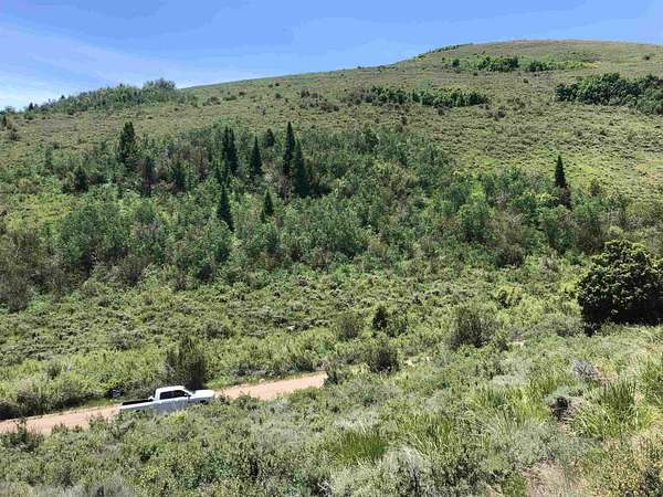 20.5 Acres of Recreational Land for Sale in Paris, Idaho