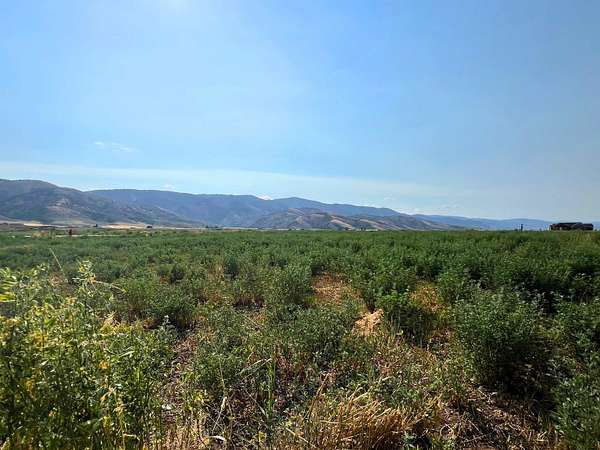 0.43 Acres of Residential Land for Sale in Grace, Idaho