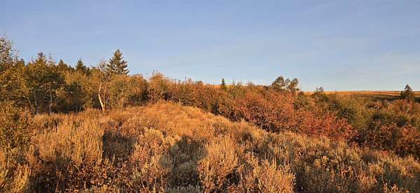 14.9 Acres of Recreational Land for Sale in Pocatello, Idaho