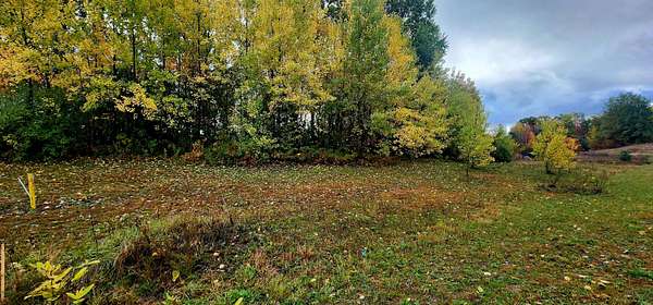 1.2 Acres of Land for Sale in New Era, Michigan