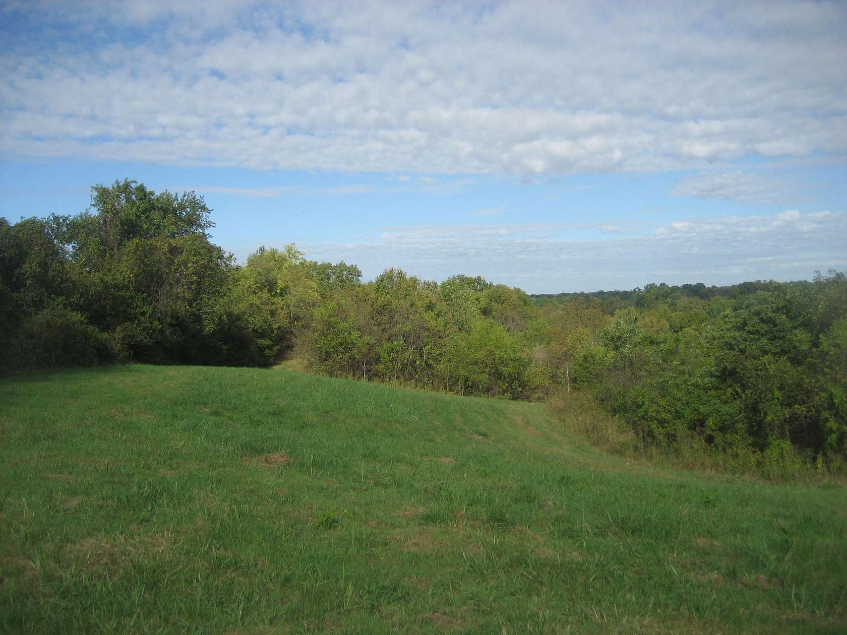 41 Acres of Land for Sale in Springfield, Kentucky