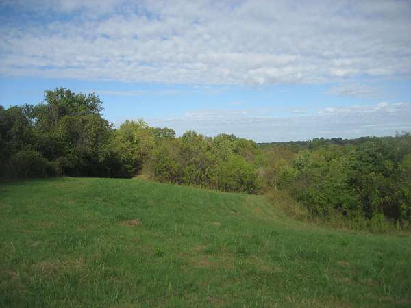 41 Acres of Land for Sale in Springfield, Kentucky