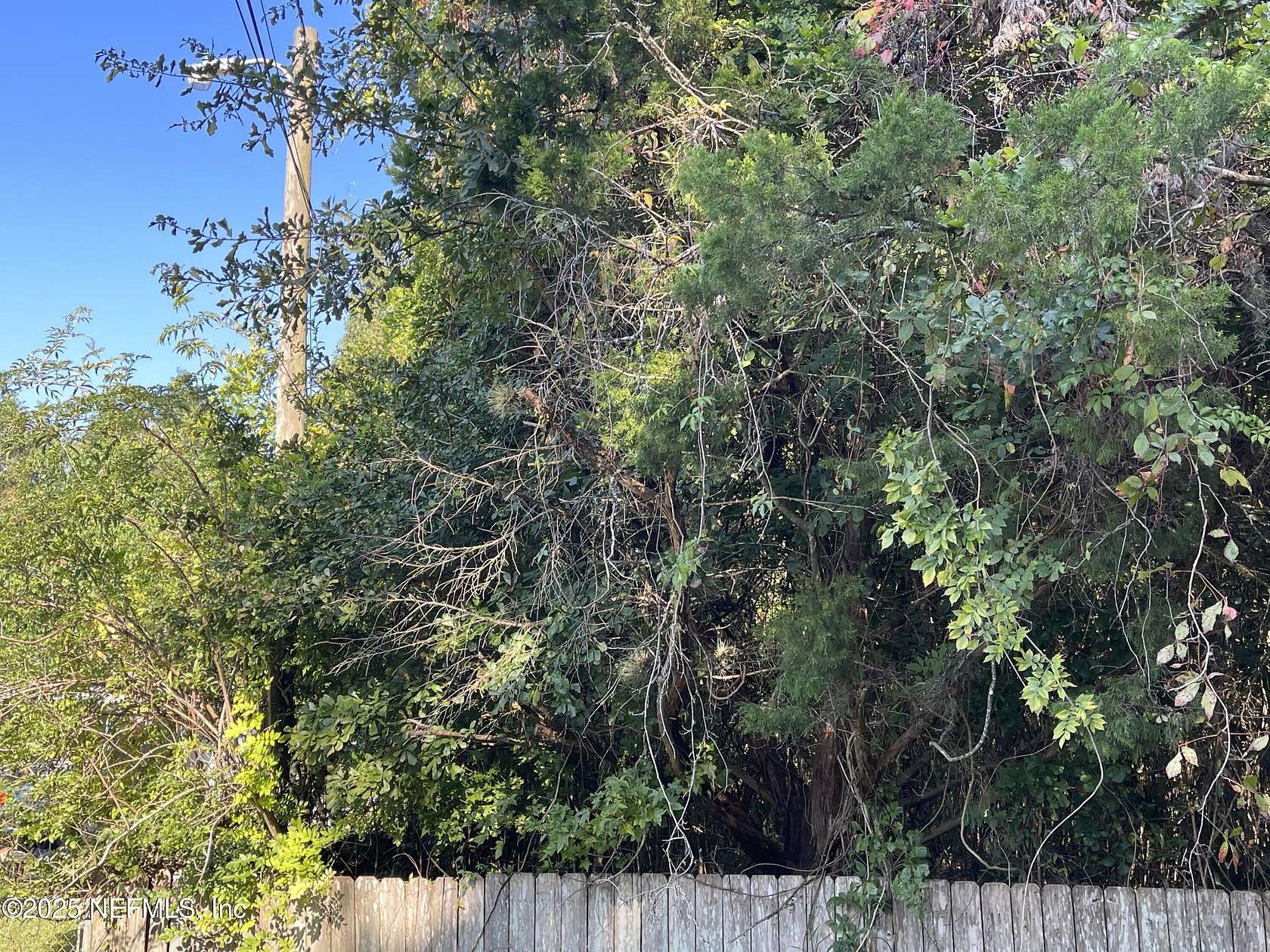 0.03 Acres of Residential Land for Sale in Green Cove Springs, Florida