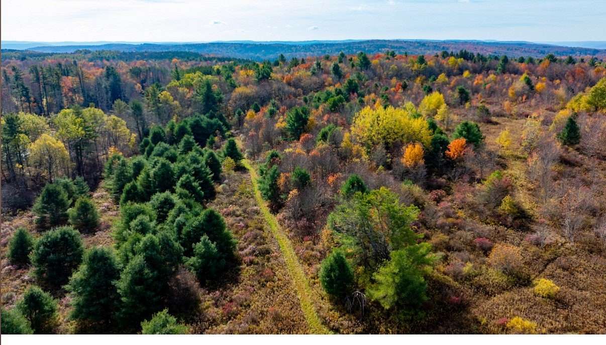 44.5 Acres of Recreational Land for Sale in New Lisbon, New York