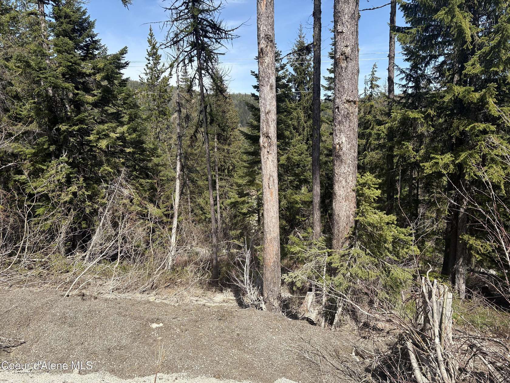0.45 Acres of Land for Sale in Sandpoint, Idaho