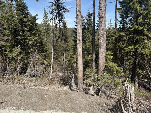 0.45 Acres of Land for Sale in Sandpoint, Idaho